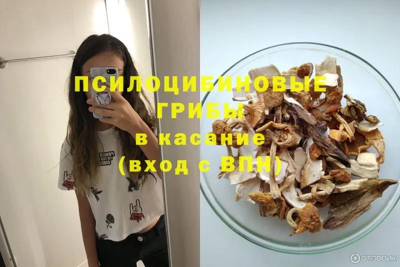 Галлюциногенные грибы Cubensis  OMG ссылка  Палласовка  купить наркотики сайты 